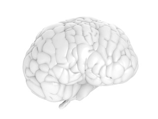 white brain on white background