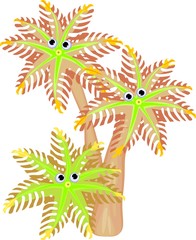 soft coral Clavularia papaya