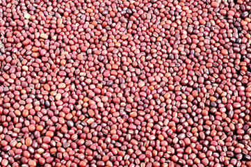 Red adzuki beans background