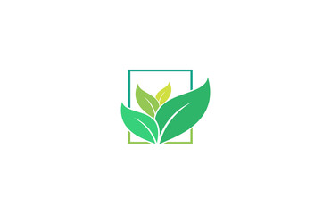 leaf beauty nature spa logo