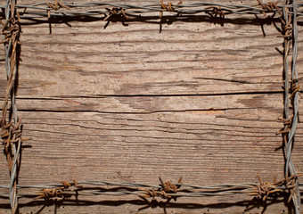 frame made of barbed wire