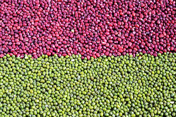 Mixed red adzuki beans and green mung beans