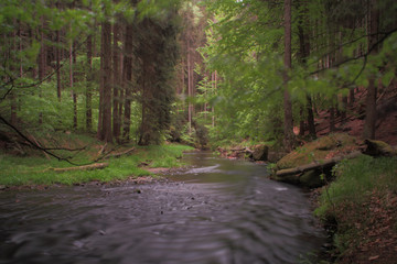Fototapeta premium Flusslandschaft