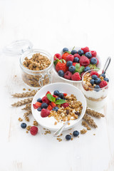 healthy breakfast with natural yogurt, muesli and berries