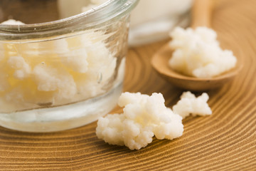 Organic probiotic milk kefir grains
