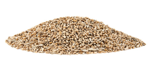 grains of pshenici