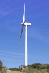Fototapeta na wymiar Windmill on wind farm road