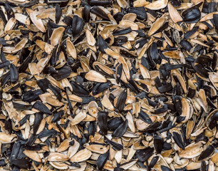 Shells of sunflower as background