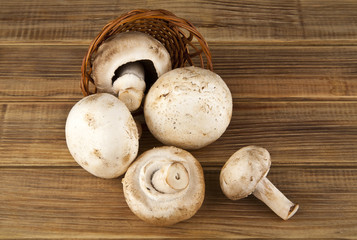 mushrooms