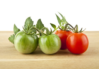 tomatoes
