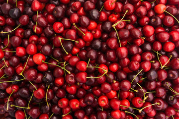 Red Cherries. Cherry selection