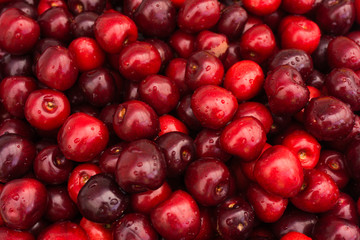 Red Cherries. Cherry selection