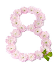 pink flowers in  shape of number eight on white background