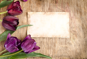 Obraz premium area of fresh tulips and card on wooden background