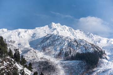 Fototapeta na wymiar Peak of the snow mountain in Sonamarg area