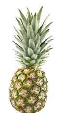 Fototapeta premium pineapple