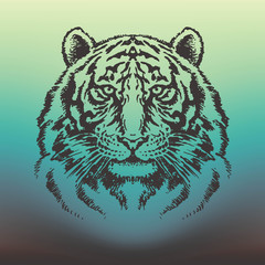 Detailed tiger head vector drawing on emerald gradient