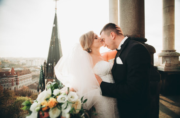 Stylish beautiful wedding couple kissing and hugging on background panoramic view of the old town