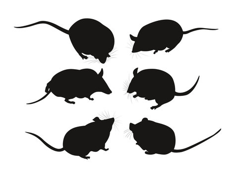 Black silhouettes of mice