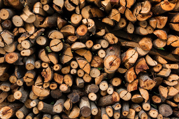 Wood pile background