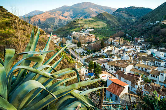 Top view of the evening on the beautiful village of Monachil with agave leaves in the foreground. Province of Granada. Spain