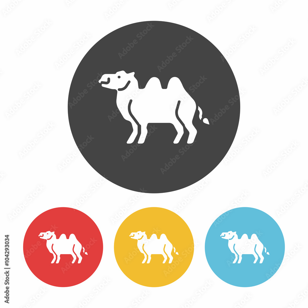 Poster animal camel icon