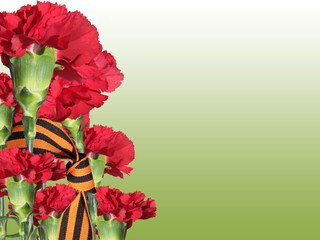 Red carnation flower. Victory Day 