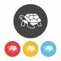 animal turtle icon