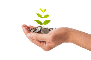 Hand holding plant sprouting from a handful of coins