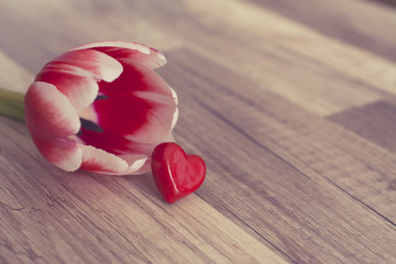 Photograph of a red and white tulip with a red heart on wooden surface 