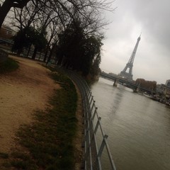 la senna e la tour eiffel