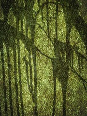 art grunge green abstract texture illustration background