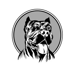 Vector illustration  pitbull mascot head, on a white background