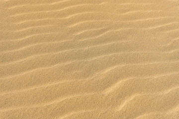 Fototapeta na wymiar Sand Waves, Texture, Beach