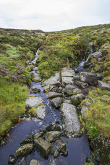 Stream the hills of Ireland. Wicklow park
