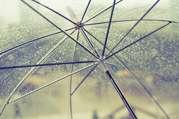 Wet transparent umbrella