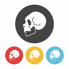 Skeleton icon