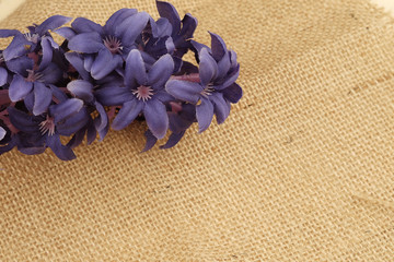 Background of a textured brown cotton fabric and flower