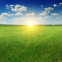 Fototapeta na wymiar field, sunrise and blue sky