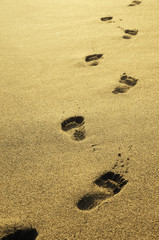 Footprints in the sand