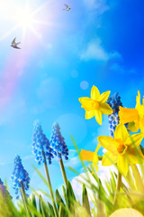 art Easter background with fresh spring flowers