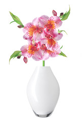 Alstroemeria flowers in vase isolated on white