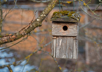 Rustikales Vogelhäuschen aus Holz und Rinde