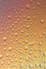 macro shot of liquid droplets with reflection. color background with water drops texture. gradient color