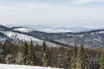 Landscape winter season.