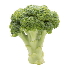 Concept of Fresh broccoli isolated on white background