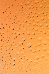 Fototapeta na wymiar close-up of water drops on gradient color background. bubbles abstract background
