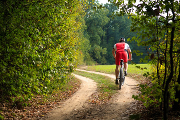 Obraz premium Rider on Mountain Bicycle it the forest