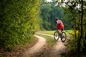 Rider on Mountain Bicycle it the forest