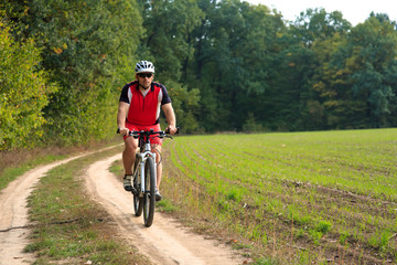 Rider on Mountain Bicycle it the forest